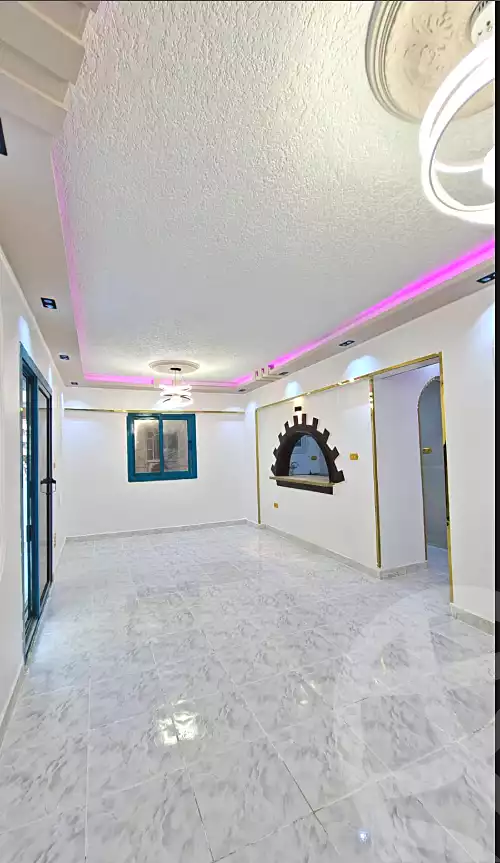 https://aqarmap.com.eg/en/listing/6783945-for-sale-alexandria-l-jmy-shataa-el-nakheel