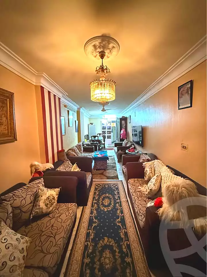 https://aqarmap.com.eg/en/listing/6787072-for-sale-alexandria-el-asafra-ali-bahgat-al-deryni-st