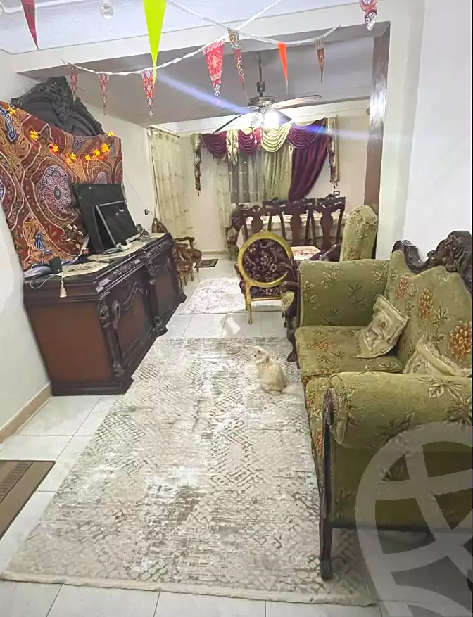 https://aqarmap.com.eg/ar/listing/6787216-for-sale-alexandria-l-jmy-lbytsh-el-hanafeya-st