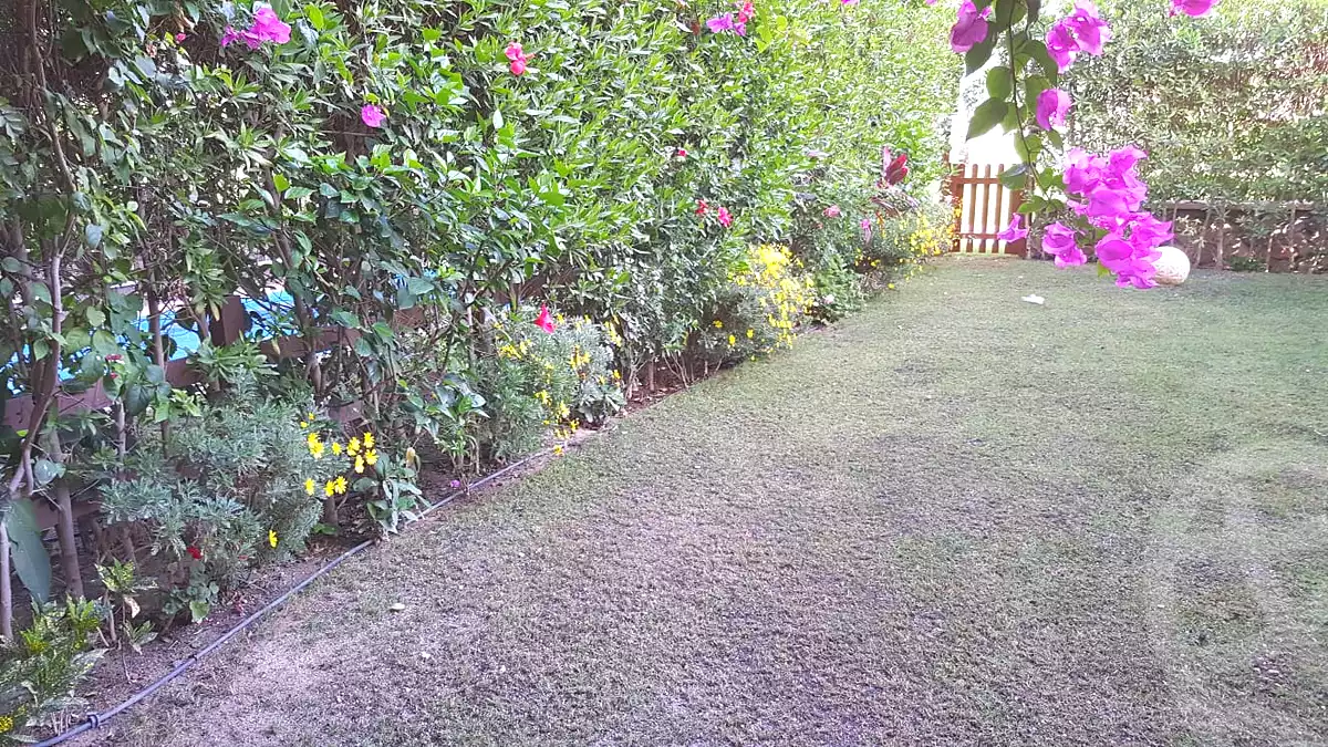 https://aqarmap.com.eg/en/listing/6790450-for-rent-cairo-new-cairo-compounds-mountain-view-hyde-park