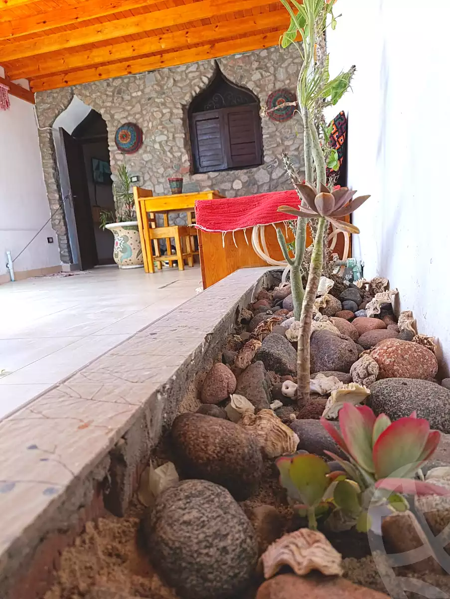 https://aqarmap.com.eg/en/listing/6792909-for-rent-jnwb-syn-dahb