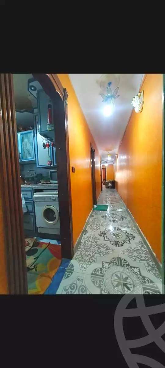 https://aqarmap.com.eg/en/listing/6795639-for-rent-alexandria-miami