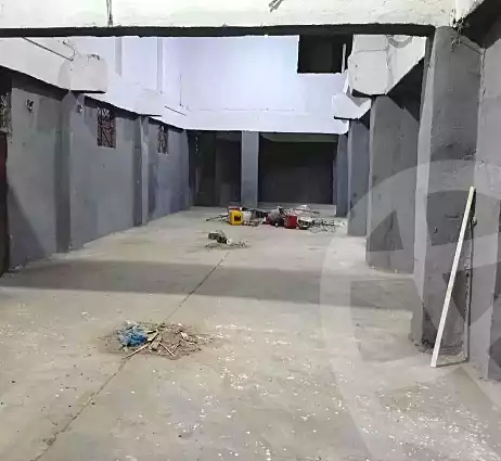 https://aqarmap.com.eg/en/listing/6797981-for-rent-alexandria-el-amreya-margham