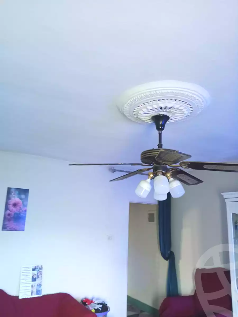 https://aqarmap.com.eg/ar/listing/6794890-for-rent-cairo-15th-of-may-mjwr-9-shr-hfz-brhym