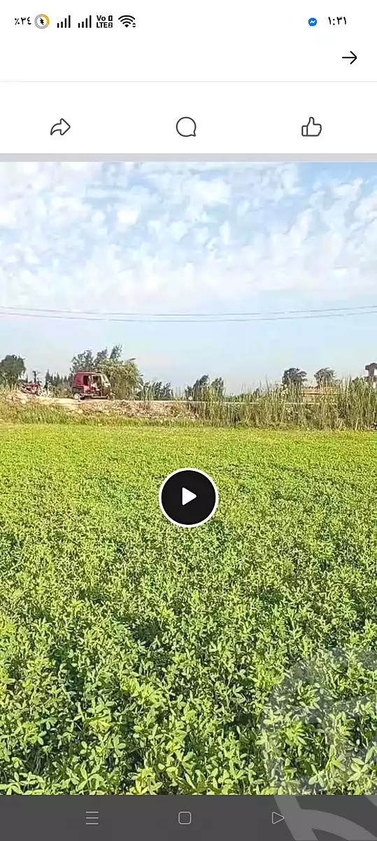 https://aqarmap.com.eg/ar/listing/6800186-for-sale-dakahlia-sherbeen-Mahallat-anshak
