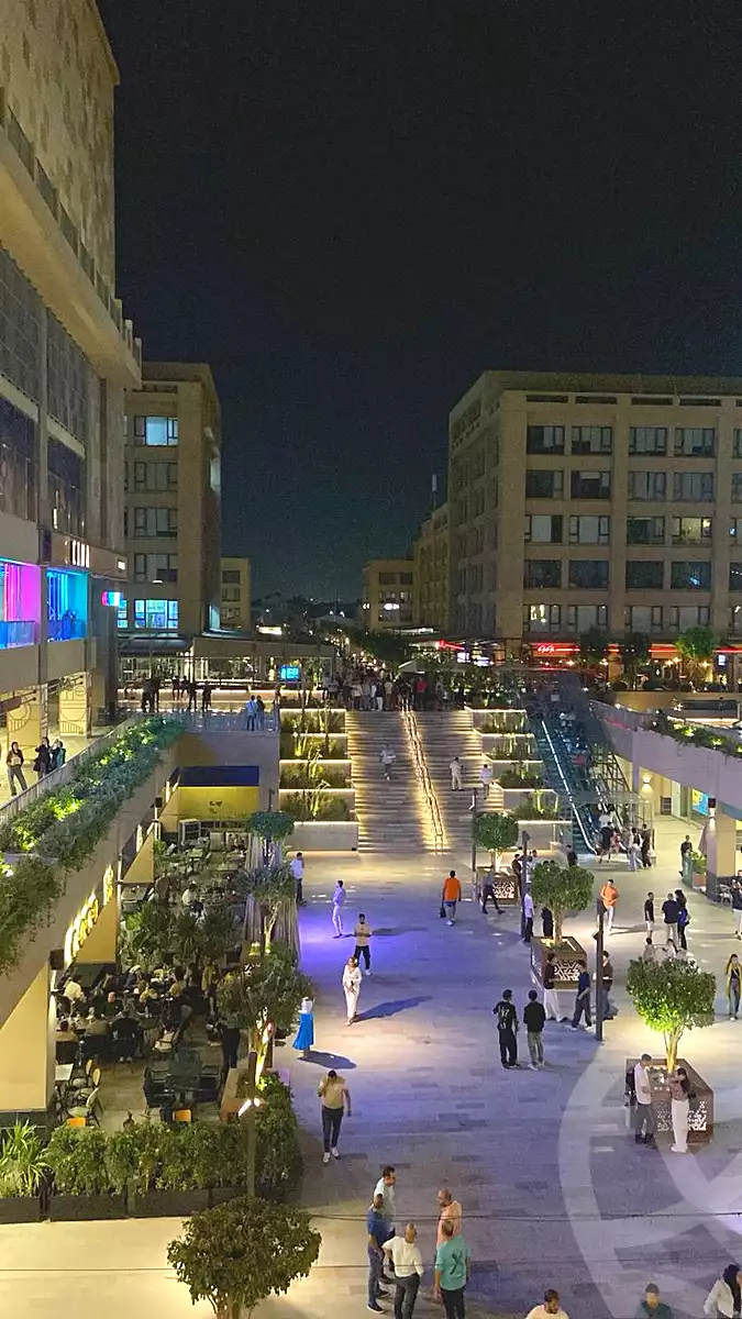 https://aqarmap.com.eg/en/listing/6805508-for-rent-cairo-new-cairo-90th-street-south-teseen-st