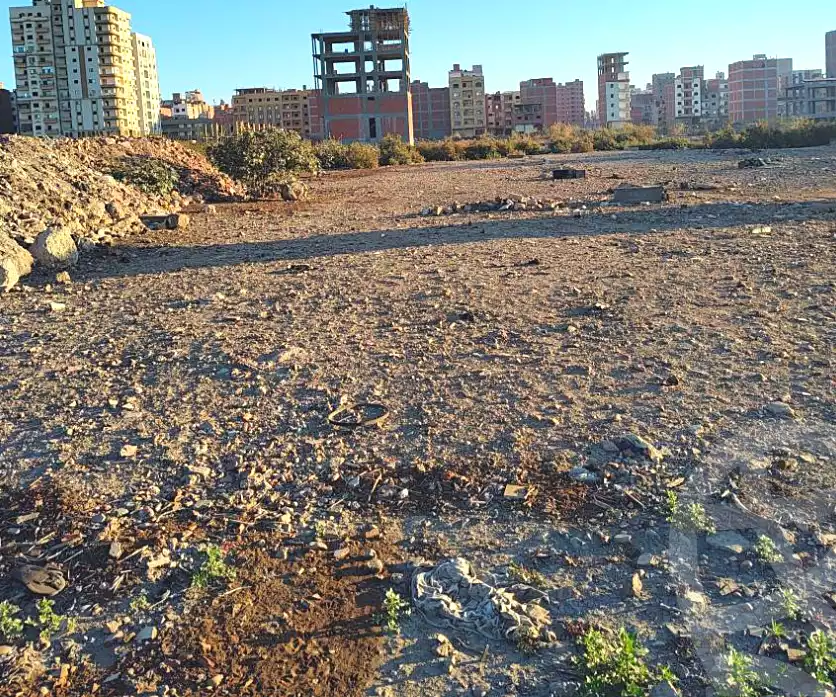 https://aqarmap.com.eg/ar/listing/6810489-for-sale-dakahlia-mansoura-ring-road