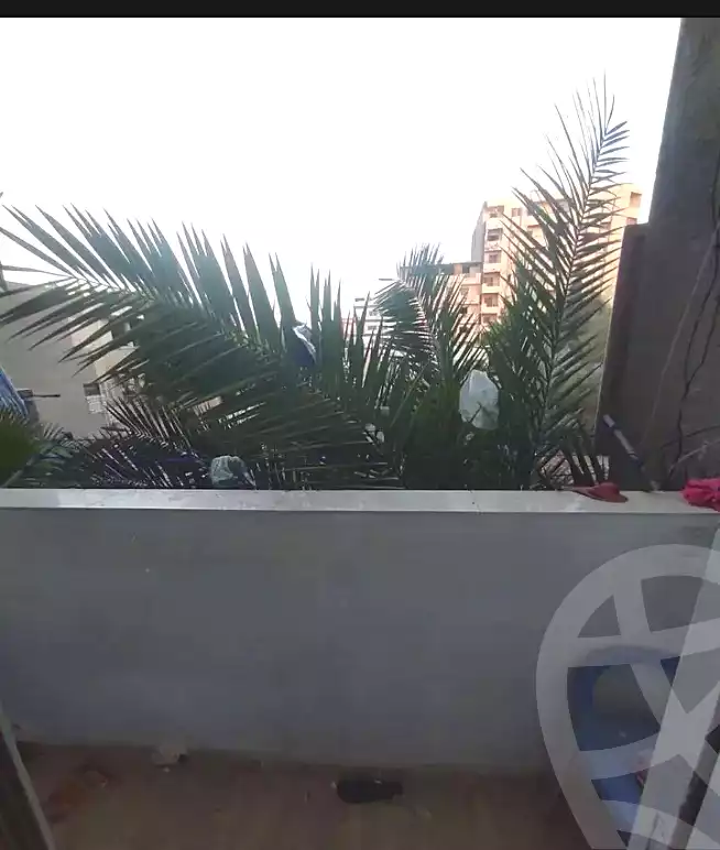 https://aqarmap.com.eg/ar/listing/6813557-for-sale-alexandria-l-jmy-lbytsh-sayed-abou-el-nasr-st