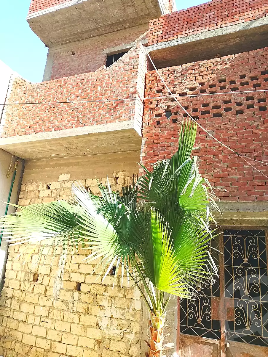 https://aqarmap.com.eg/en/listing/6816710-for-sale-alexandria-abu-talat