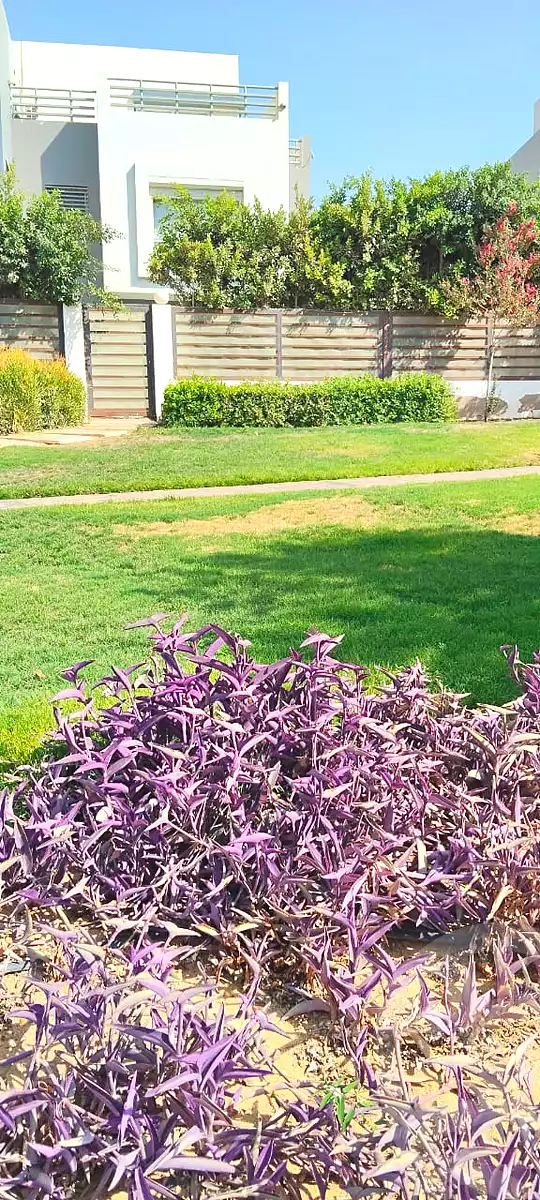 https://aqarmap.com.eg/en/listing/6818668-for-sale-cairo-new-cairo-compounds-hyde-park-centre-ville-hyde-park