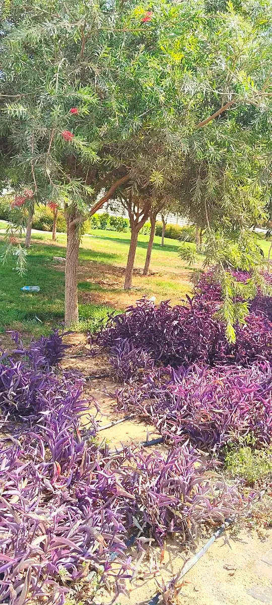 https://aqarmap.com.eg/en/listing/6818668-for-sale-cairo-new-cairo-compounds-hyde-park-centre-ville-hyde-park