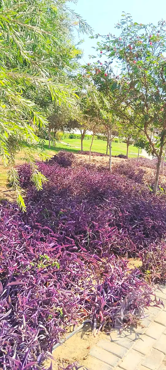 https://aqarmap.com.eg/en/listing/6818668-for-sale-cairo-new-cairo-compounds-hyde-park-centre-ville-hyde-park