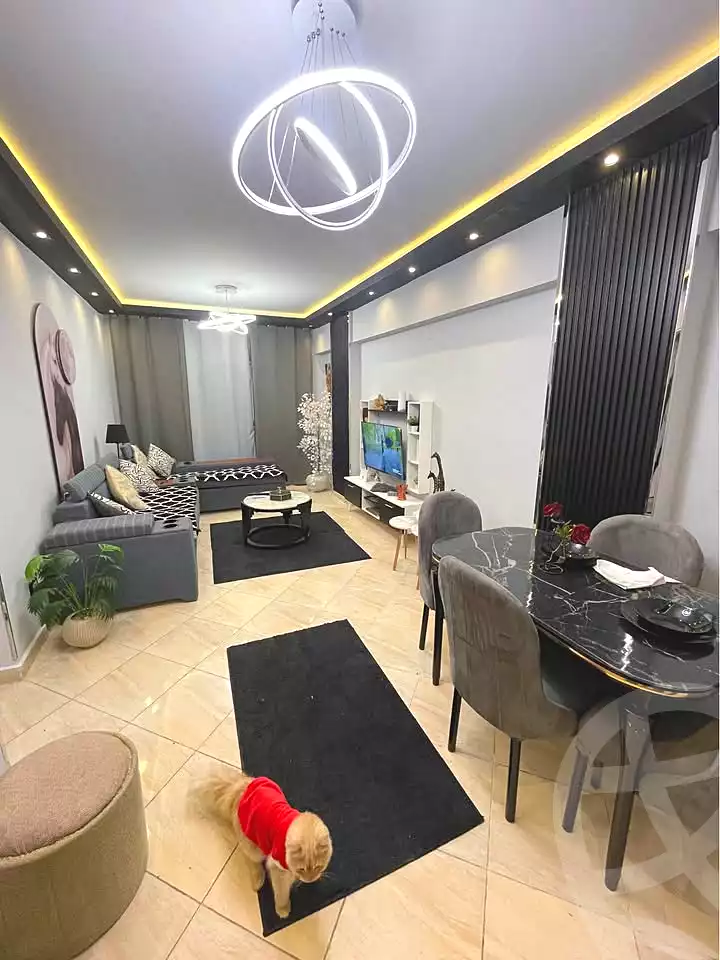 https://aqarmap.com.eg/ar/listing/6829716-for-sale-alexandria-l-jmy-compounds-in-el-agamy