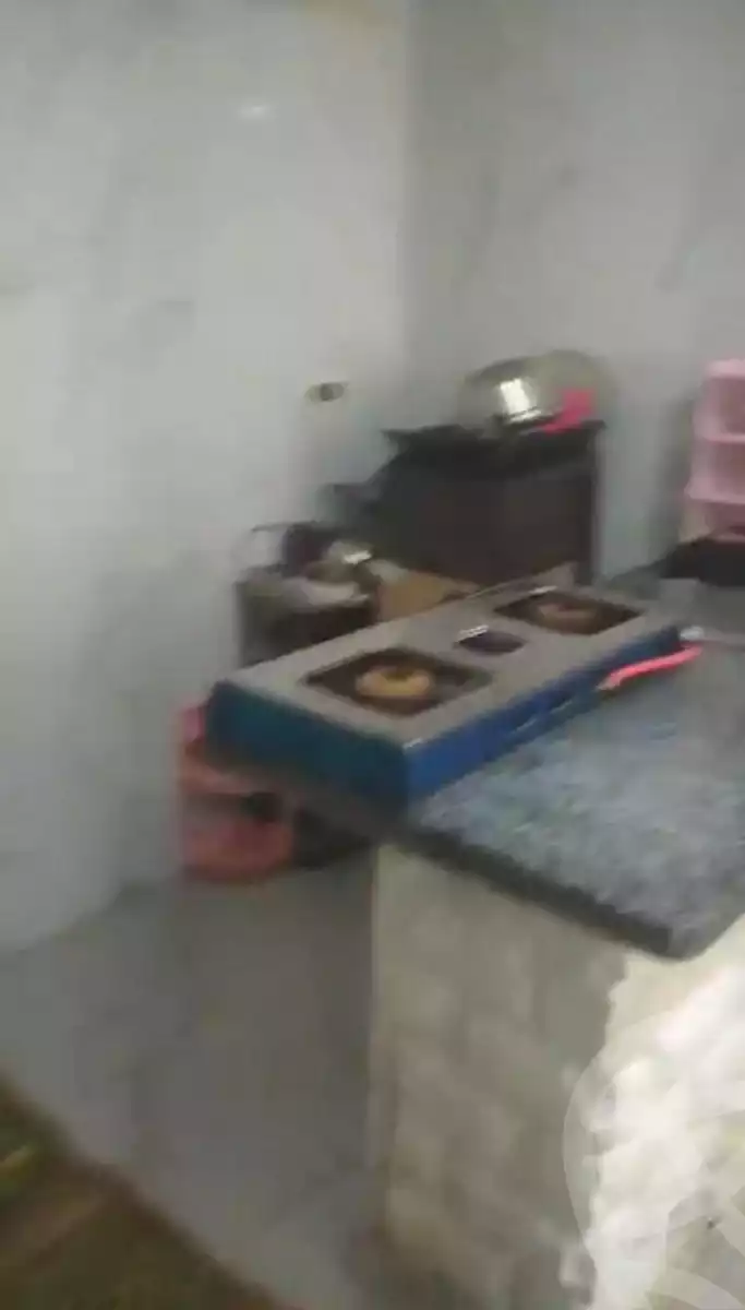 https://aqarmap.com.eg/ar/listing/6830214-for-sale-alexandria-l-jmy-lbytsh-el-hanafeya-st