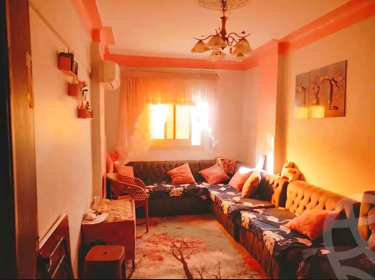 https://aqarmap.com.eg/ar/listing/6830440-for-sale-alexandria-l-jmy-l-jmy-lbhry-abd-el-hameed-radwan-st