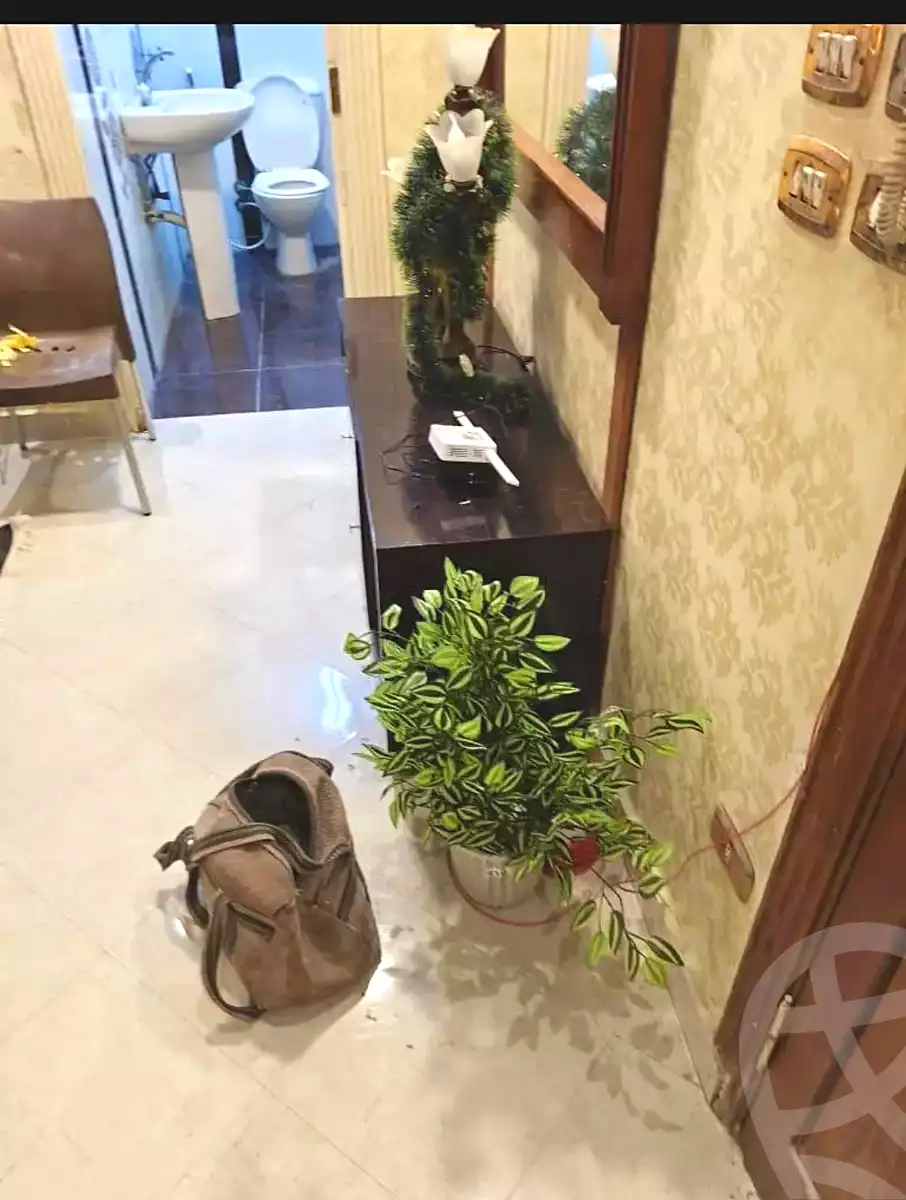 https://aqarmap.com.eg/en/listing/6834232-for-rent-cairo-el-haram-shareaa-khatem-el-morsalen