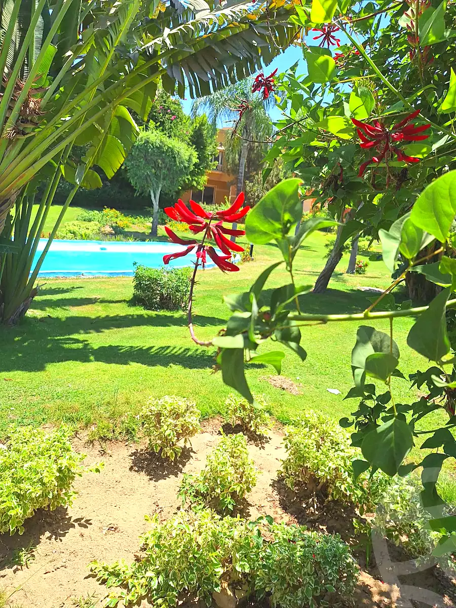 https://aqarmap.com.eg/ar/listing/6835703-for-sale-cairo-el-sheikh-zayed-city-compounds-beverly-hills
