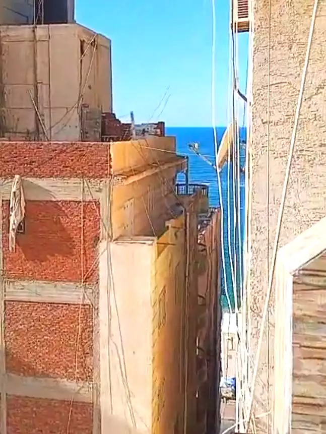 https://aqarmap.com.eg/en/listing/6841305-for-sale-alexandria-el-mandara-tryq-ljysh