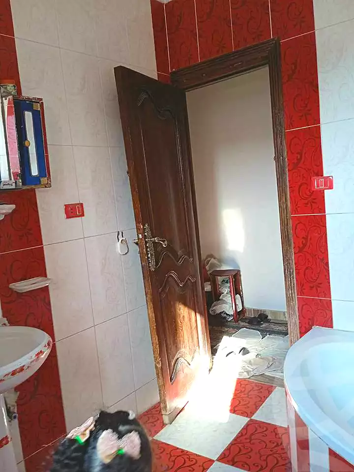 https://aqarmap.com.eg/ar/listing/6843716-for-sale-alexandria-al-agamy-lbytsh-qased-kareem-st