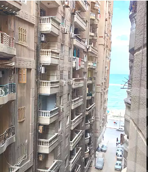 https://aqarmap.com.eg/en/listing/6845031-for-sale-alexandria-el-mandara-tryq-ljysh