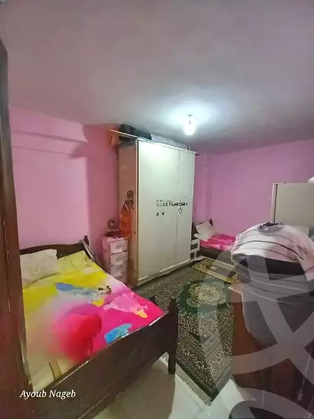 https://aqarmap.com.eg/ar/listing/6845390-for-sale-alexandria-al-agamy-lbytsh-el-hay-st