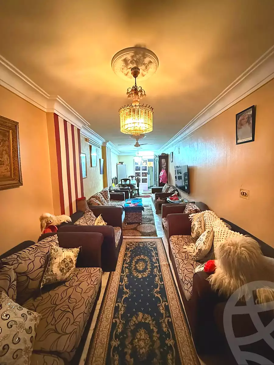 https://aqarmap.com.eg/en/listing/6845982-for-sale-alexandria-el-asafra-ali-bahgat-al-deryni-st