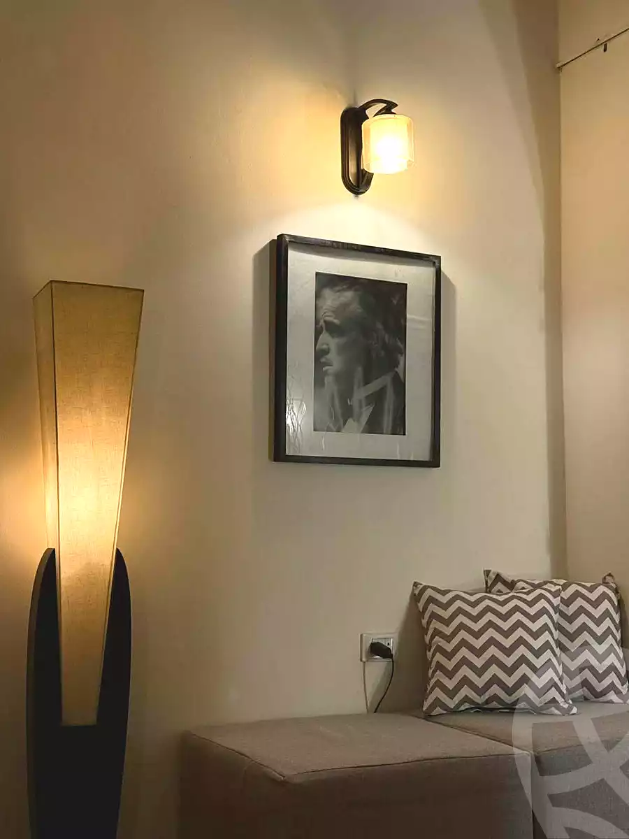 https://aqarmap.com.eg/en/listing/6850790-for-rent-cairo-al-zamalek-shr-sm-yl-mhmd