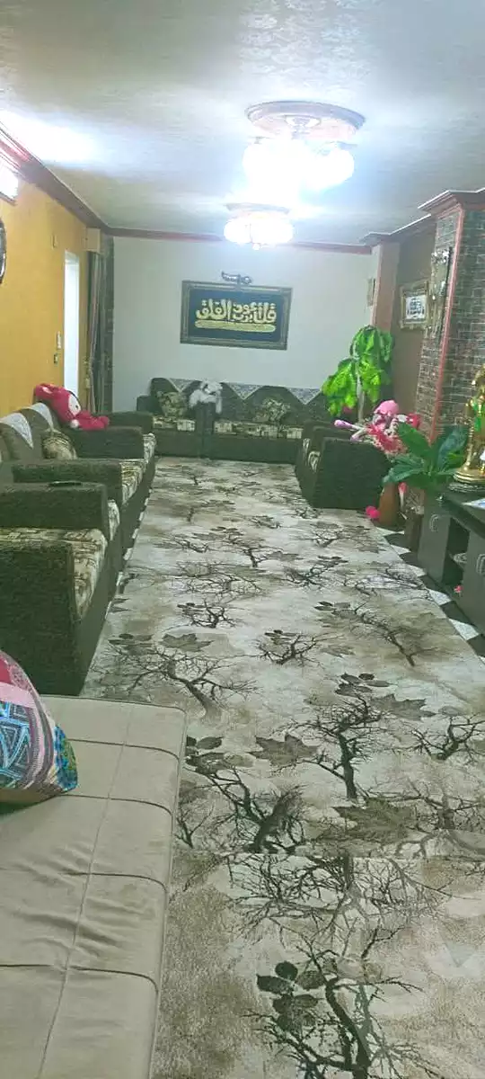 https://aqarmap.com.eg/en/listing/6855531-for-sale-cairo-ain-shams-mnshy-lthryr