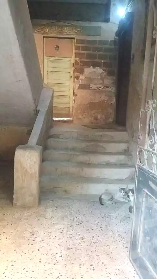 https://aqarmap.com.eg/en/listing/6856263-for-sale-cairo-helwan-helwan-el-sharkeya-khesro-basha-st