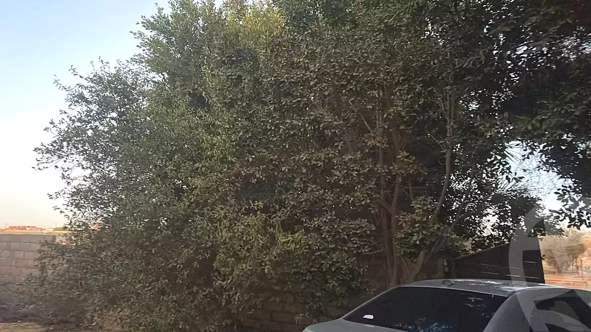 https://aqarmap.com.eg/ar/listing/6858318-for-sale-cairo-6th-of-october-green-belt-wadi-el-nile