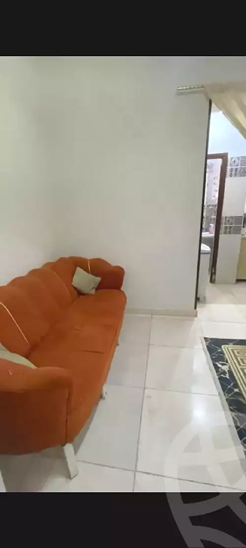https://aqarmap.com.eg/en/listing/6862241-for-rent-gharbia-tanta-tanta-city-saeed-st
