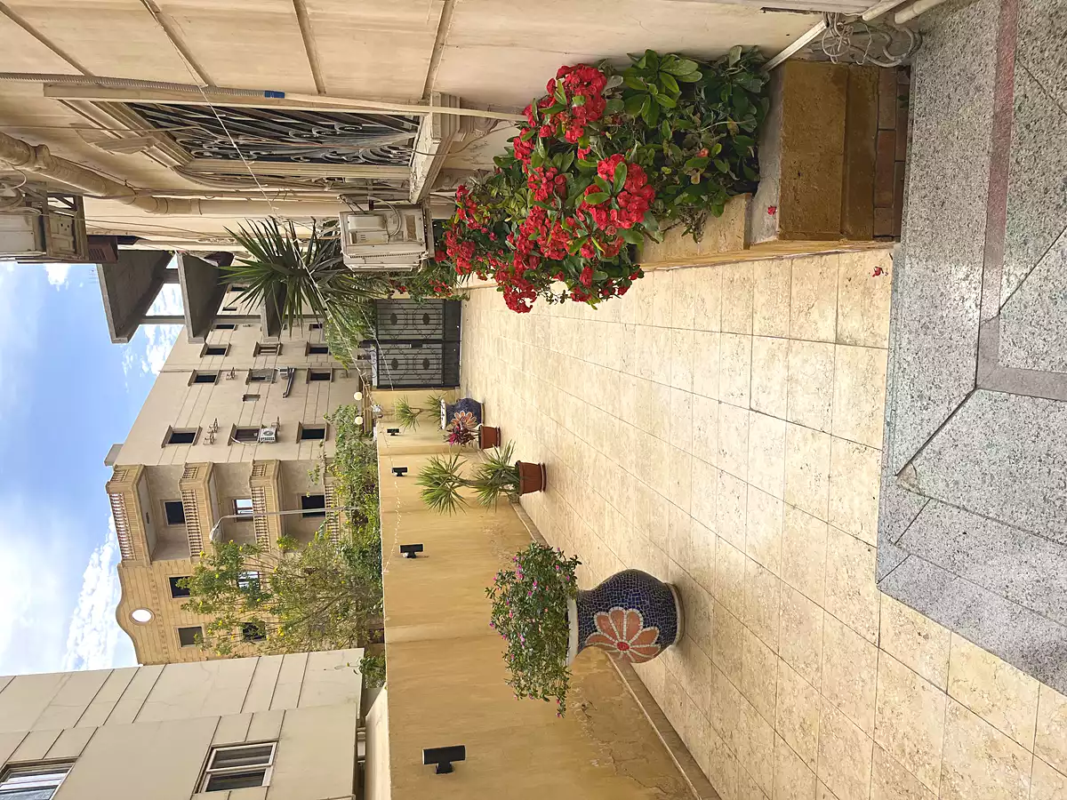https://aqarmap.com.eg/ar/listing/6862956-for-sale-cairo-new-cairo-gharb-arabila-selim-st