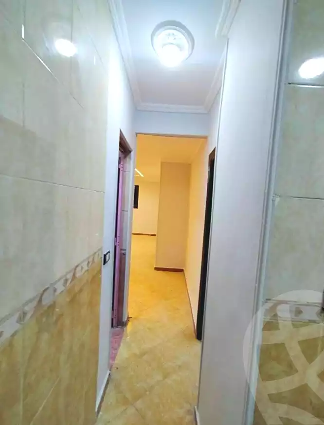 https://aqarmap.com.eg/en/listing/6869717-for-sale-alexandria-lsywf-el-falki-street-16-el-eslah