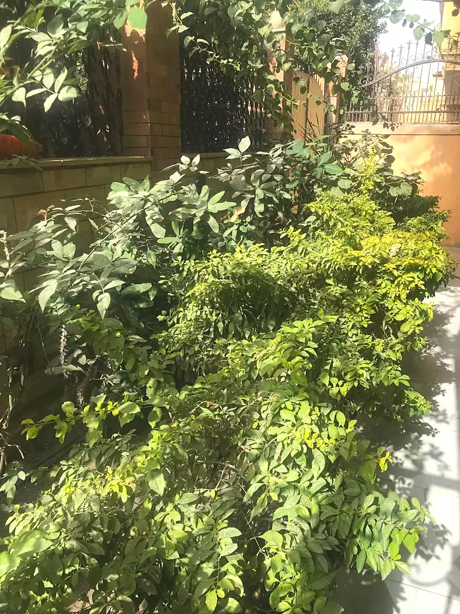 https://aqarmap.com.eg/en/listing/6870409-for-rent-cairo-6th-of-october-el-ahyaa-neighborhood-2nd