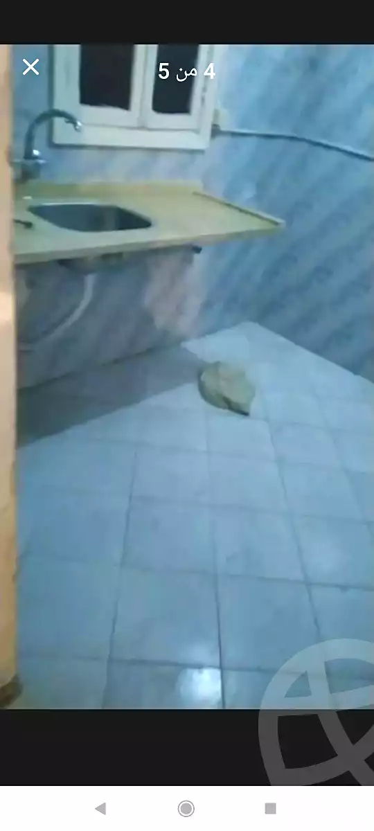 https://aqarmap.com.eg/en/listing/6870840-for-rent-alexandria-sydy-bshr-sydy-bshr-bhry
