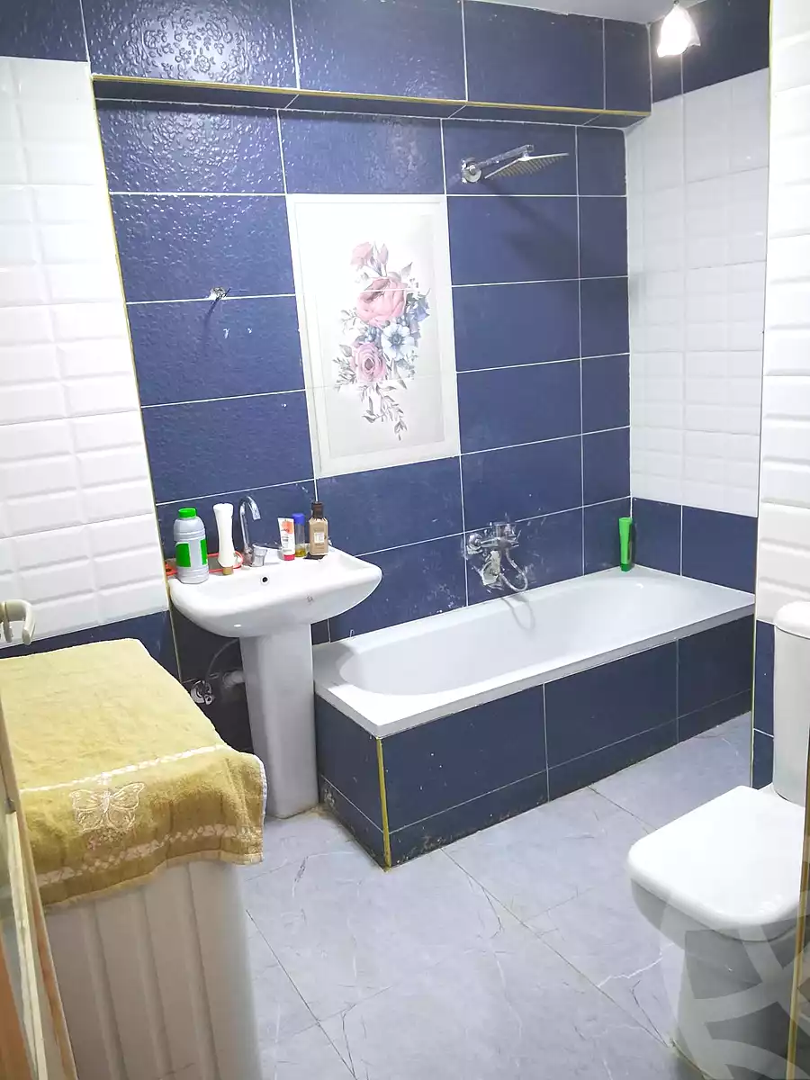 https://aqarmap.com.eg/en/listing/6877273-for-sale-cairo-ain-shams-mnshy-lthryr