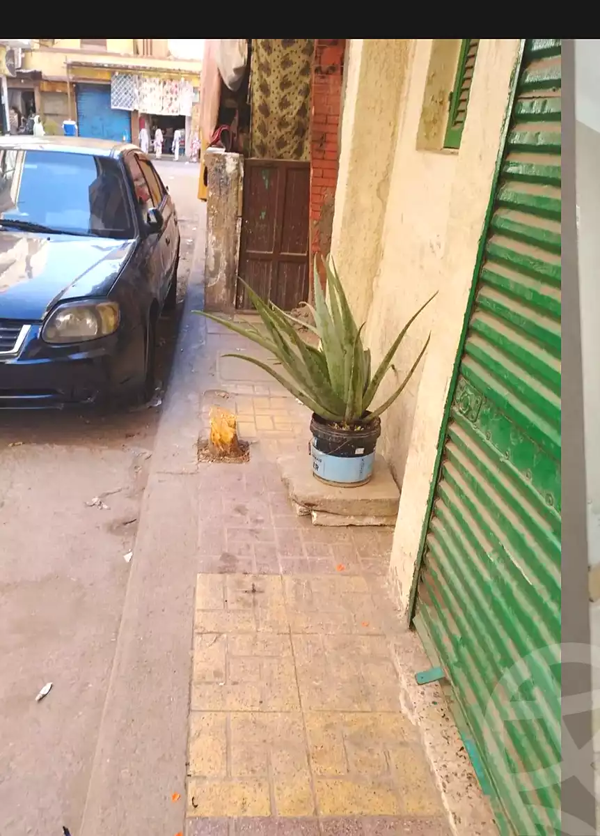 https://aqarmap.com.eg/en/listing/6877491-for-sale-alexandria-lsywf