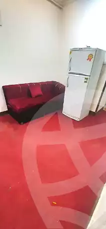 https://aqarmap.com.eg/ar/listing/6878895-for-rent-cairo-manial