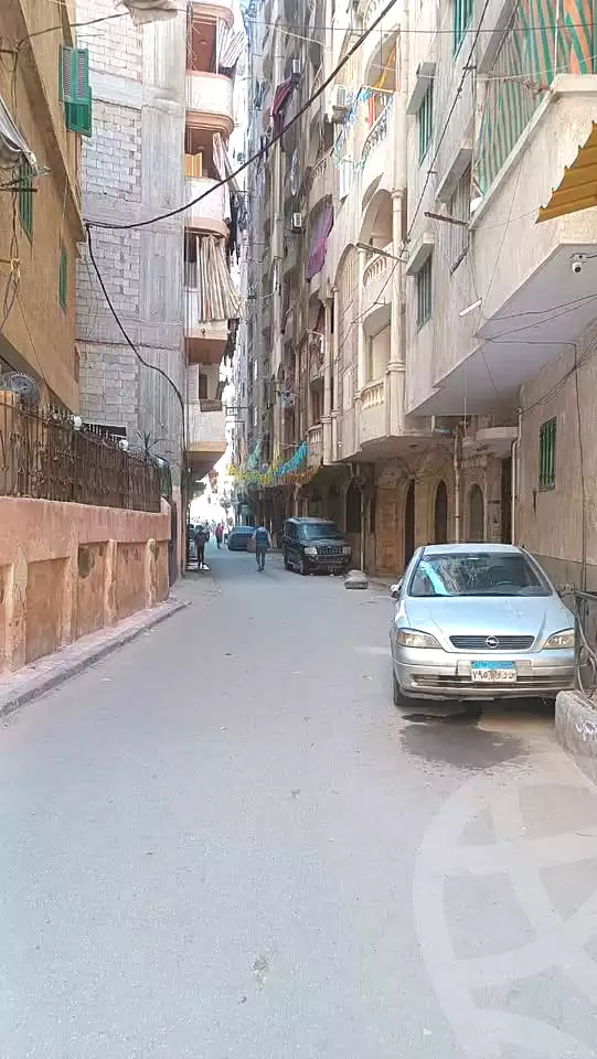 https://aqarmap.com.eg/en/listing/6882747-for-sale-alexandria-el-mandara