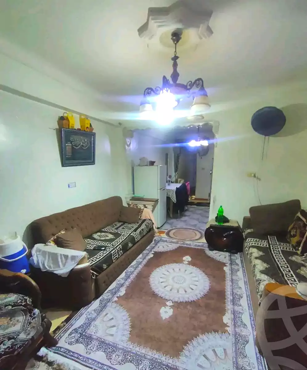 https://aqarmap.com.eg/en/listing/6889717-for-sale-alexandria-lsywf-el-falki-street-16-el-eslah