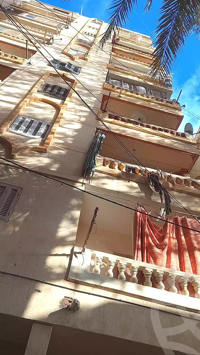 https://aqarmap.com.eg/en/listing/6892892-for-sale-alexandria-al-agamy-lbytsh-al-aeda-al-kadema-st