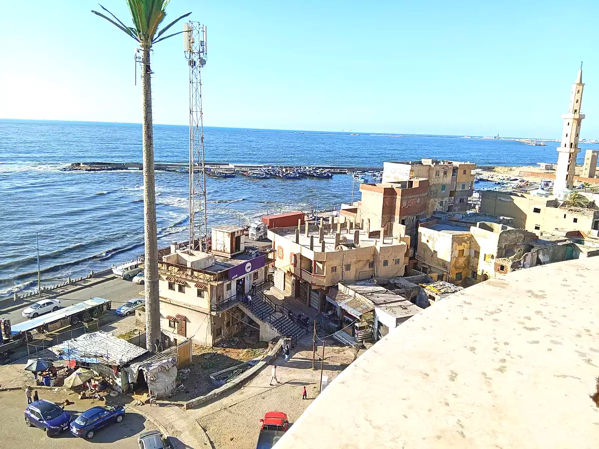 https://aqarmap.com.eg/ar/listing/6894870-for-sale-alexandria-el-max-el-max-st