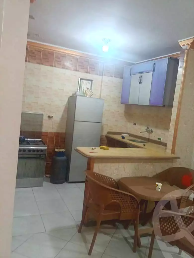 https://aqarmap.com.eg/en/listing/6905315-for-rent-alexandria-miami-khld-bn-lwlyd