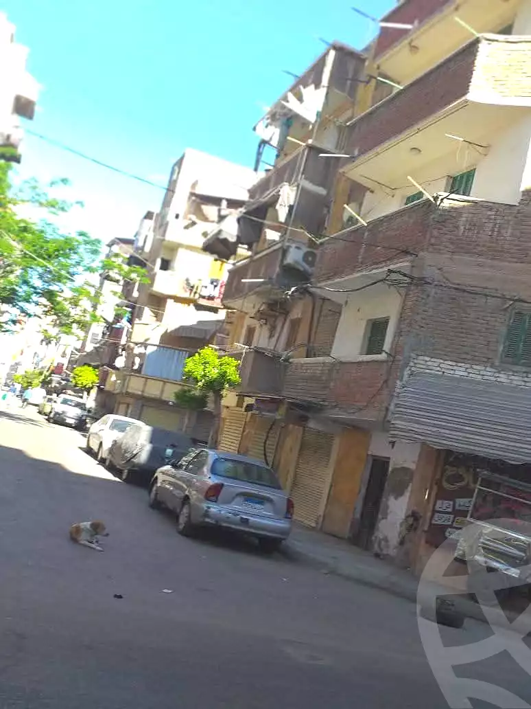 https://aqarmap.com.eg/ar/listing/6915366-for-sale-alexandria-lsywf-shamaa-salah-el-din-ibrahem-st