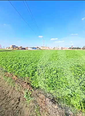 https://aqarmap.com.eg/ar/listing/6915701-for-sale-sharqia-faqous-el-sawaleh