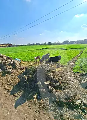 https://aqarmap.com.eg/ar/listing/6915701-for-sale-sharqia-faqous-el-sawaleh