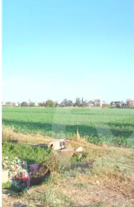 https://aqarmap.com.eg/ar/listing/6916385-for-sale-dakahlia-dekernes-kafr-abo-naser