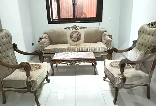 https://aqarmap.com.eg/ar/listing/6917719-for-rent-cairo-ljyz