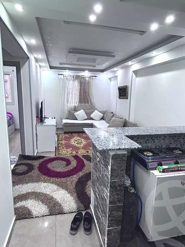 https://aqarmap.com.eg/en/listing/6924460-for-sale-cairo-ain-shams-mnshy-lthryr