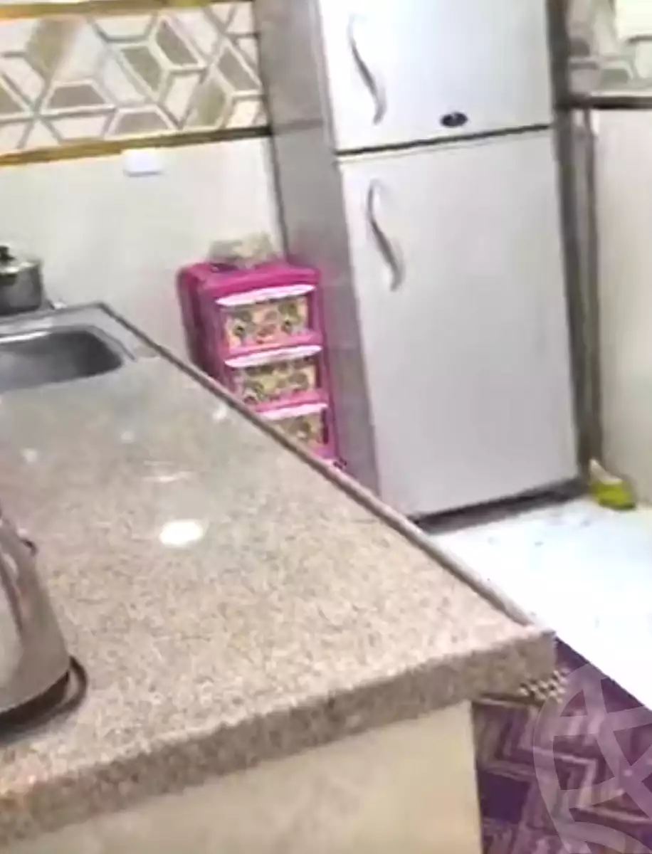 https://aqarmap.com.eg/en/listing/6925056-for-sale-cairo-ain-shams-ahmed-esmat-st